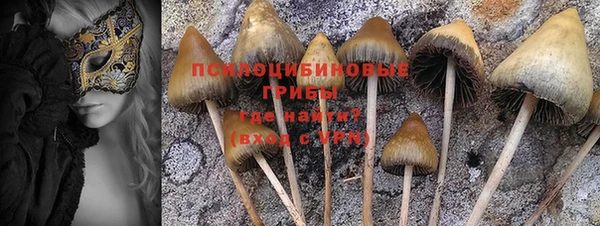 ECSTASY Балабаново