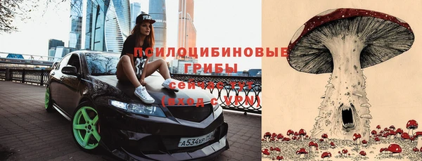 ECSTASY Балабаново